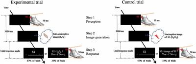 Salience of Somatosensory Stimulus Modulating External-to-Internal Orienting Attention